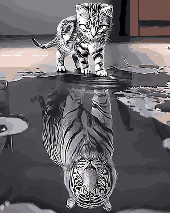 Cat Mirror Tiger - DIY Paint By Numbers - Numeral Paint