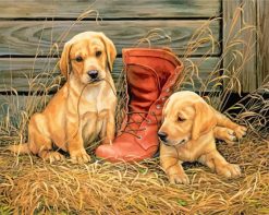 Dogs playing with a shoe paint by numbers