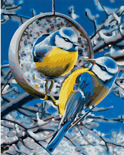 Schipper Winter Birds - Birds Paint By Number - Paint by numbers for adult