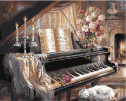 Europe Piano Hand painted Oil Painting- DIY Paint By Numbers - Numeral Paint