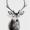 Deer Animals - DIY Paint By Numbers - Numeral Paint