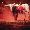 Abstract Red Cattle Animals - DIY Paint By Numbers - Numeral Paint
