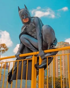 Batman Cosplay Paint by numbers