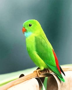 Beautiful Green Parrot NEW paint by number