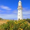 Cape Otway Lightstation Lighthouse Australia adult paint by numbers
