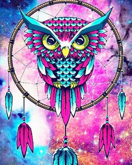 Colorful owl dream catcher adult paint by numbers