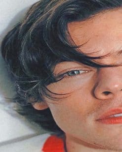 Harry Styles Details Paint by numbers