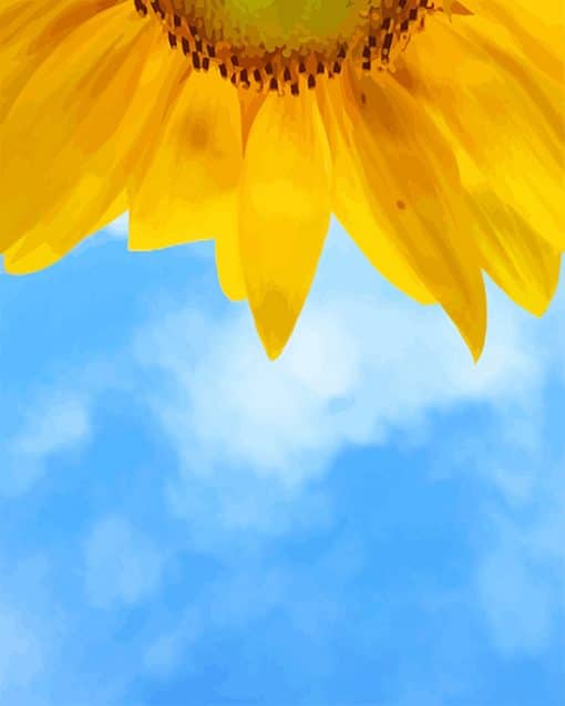 Helianthus annuus flower adult paint by number