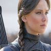 Jennifer Lawrence Hunger games Paint by numbers