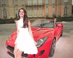Lana Del Rey with jaguar adult paint by numbers