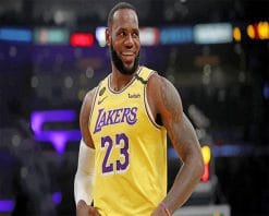 Lebron Jame Lakers adult paint by number