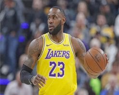 Lebron james Lakers player adult paint by number