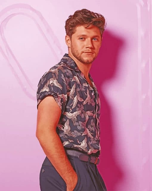 Handsome Niall Horan Paint by numbers