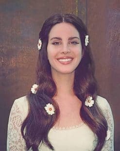 Photoshoot Lana Del Rey adult paint by numbers