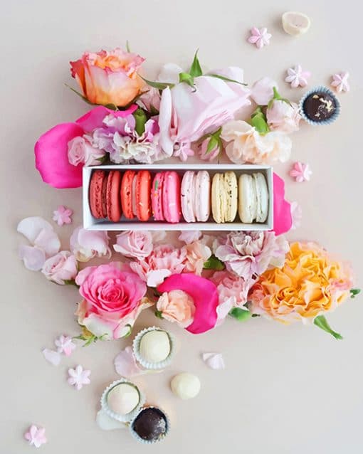 Pink Macarons with Flowers adult paint by numbers