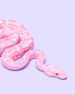 Pink Snake adult paint by numbers