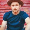 Stylish Niall Horan Paint by numbers