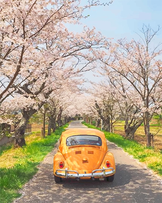 Yellow VW and cherry blossom adult paint by numbers