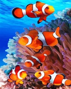 Colorful Clown-fish paint by number