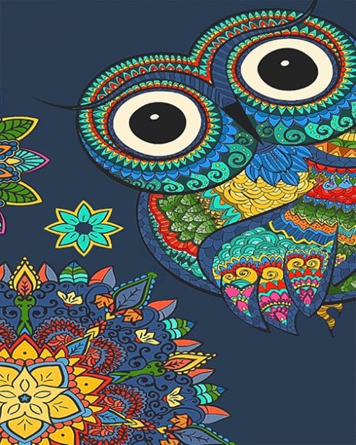 Owl Art paint by number