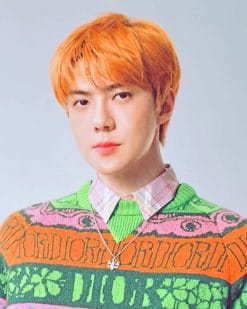 Cute Oh Sehun With Orange Hair Paint By Numbers