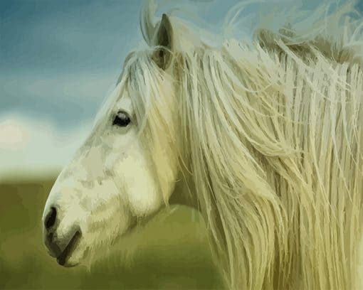 Stallion Horse paint by number