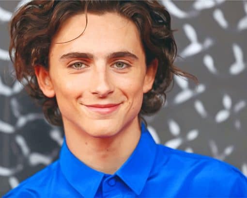 the actor Timothee Chalamet adult paint by numbers