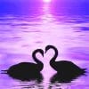 Ducks in Love Silhouette Paint By Numbers