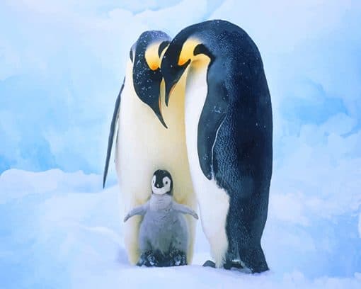 Penguin Family paint By Numbers