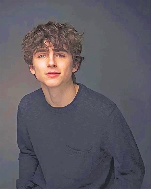 timothee chalamet - Paint by numbers - Painting By Numbers