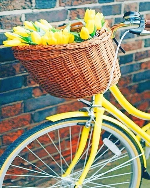 Yellow Bicycle And Flowers Paint By Numbers