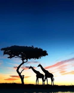 African Giraffes Silhouette adult paint by numbers