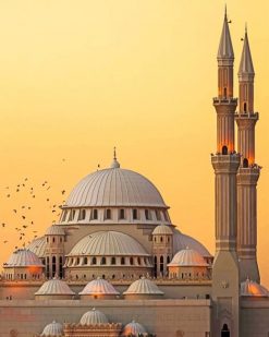 Al Noor Mosque United Arab Emirates Paint By Numbers
