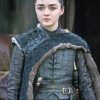 Arya Stark GOT adult paint by numbers