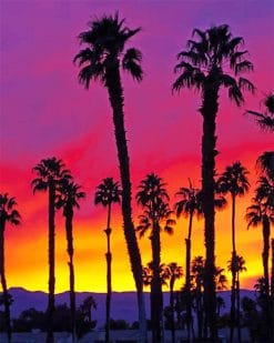 California palm tree sunrise adult paint by numbers