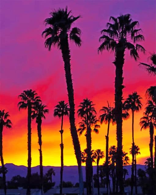 California palm tree sunrise adult paint by numbers