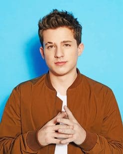 Charlie puth portrait adult paint by numbers
