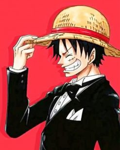 Classy Luffy One Piece adult paint by numbers