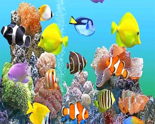 Colorful fishes deep sea adult paint by numbers