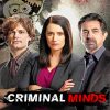 Criminal minds serie adult paint by numbers