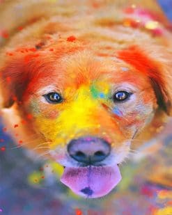 Cute colorful dog adult paint by numbers