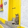 Cute kitty yellow door adult paint by numbers