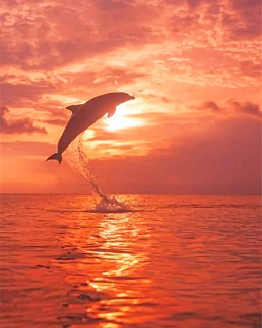 Dolphin Sunset Beach paint by number