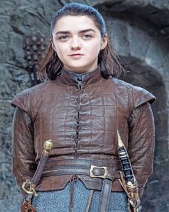 Game of thrones maisie adult paint by numbers
