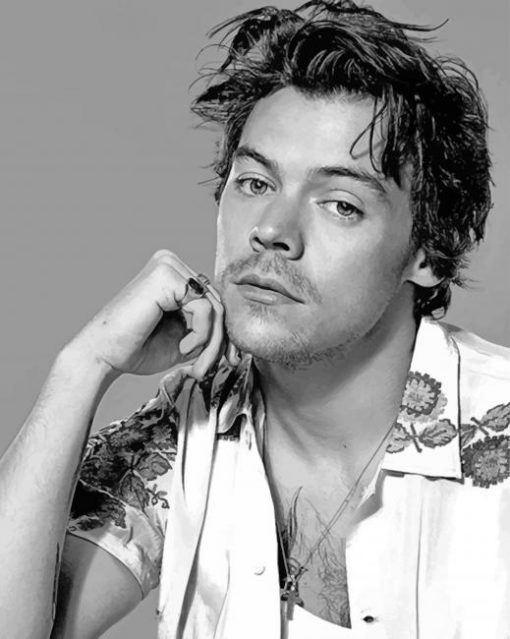 Harry Styles Black And White adult paint by numbers