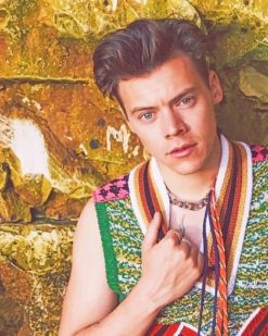 Harry Styles Cool Photo shoot paint By Numbers
