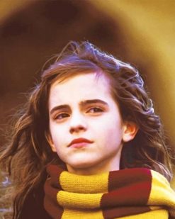 Hermione Granger Paint By numbers