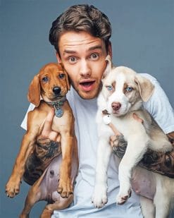 Liam Payne and his pets adult paint by numbers