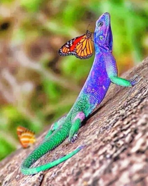 Lizard And Butterfly adult paint by numbers