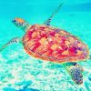 Loggerhead Sea Turtle adult paint by numbers